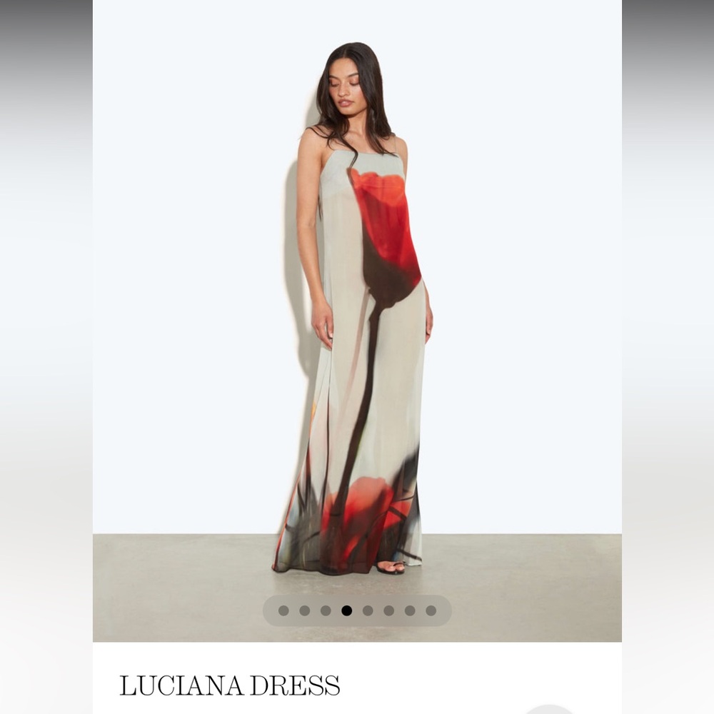 Rat & Boa Luciana Dress in Red and Black